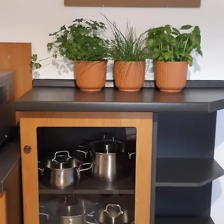 Apartament 3-zimmerwohnung...nur 5 Gehminuten Zum Pegnitzer Bahnhof *