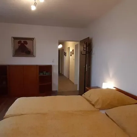 Apartament 3-zimmerwohnung...nur 5 Gehminuten Zum Pegnitzer Bahnhof *